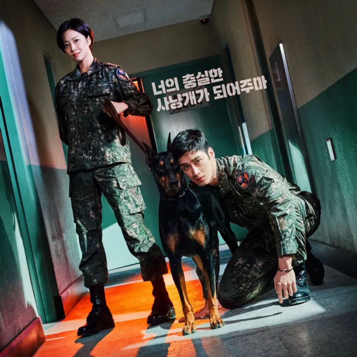 military prosecutor doberman kdrama 11