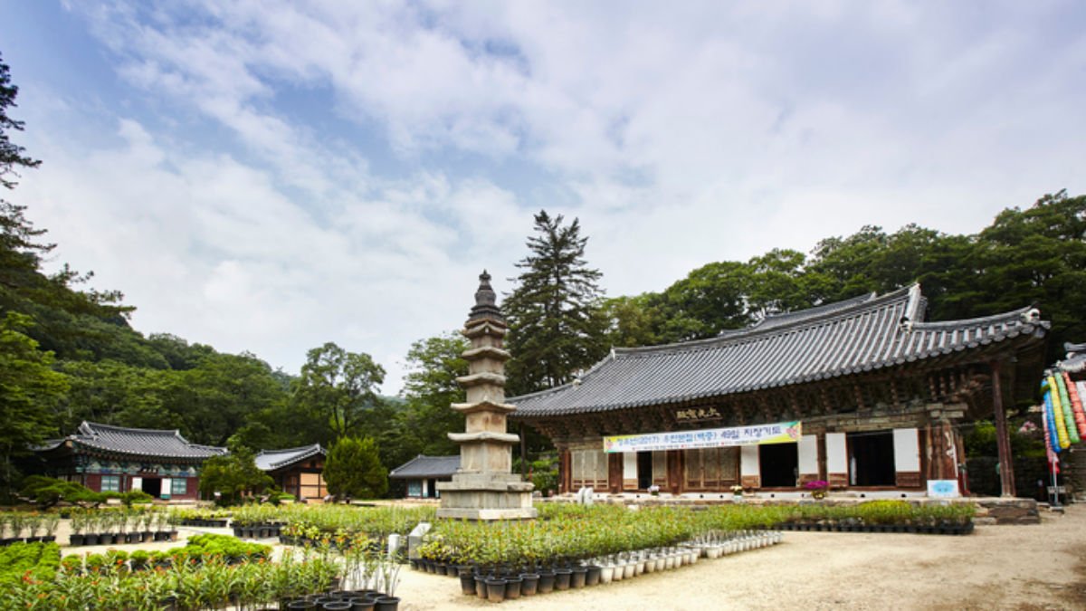 Magoksa Temple south korea