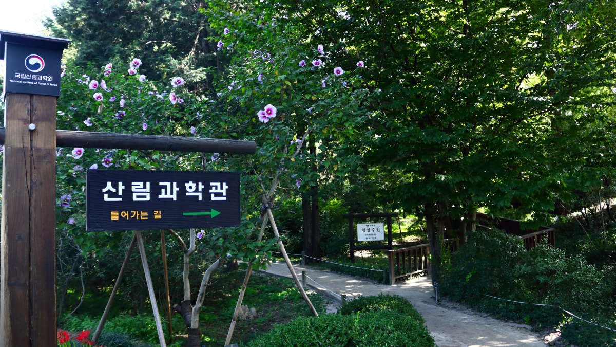Hongneung Arboretum south korea