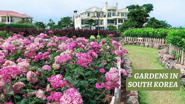 gardens to visit in south korea